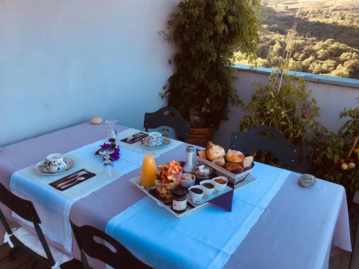 Bed and Breakfast A Casa di Pia Olmeta-di-Tuda Esterno foto